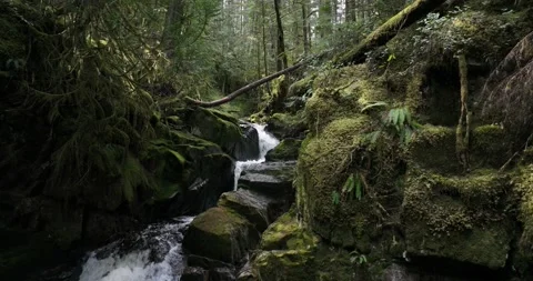 Appleton canyon Stock Footage 181771668