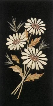 Application: camomiles from straws Stock Illustration