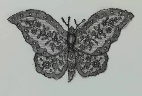 Application of clamping side in the shape of a butterfly. Application in t... 写真素材
