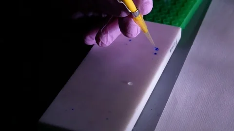 Application of DNA into agarose gel Video stock 84223089