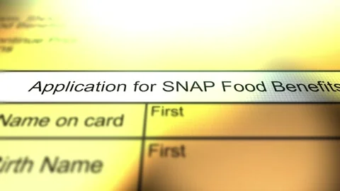 Application for Generic SNAP Food Benefits 스톡 동영상 341868001