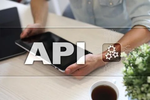 Application programming interface. API. Software development concept. Foto stock