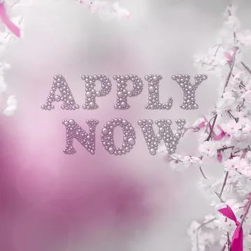 APPLY NOW message on pink background Stock Photos