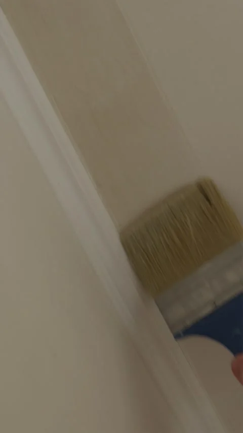 Applying anti mold primer brush coat to ceiling corner joint Stock Footage 340404938