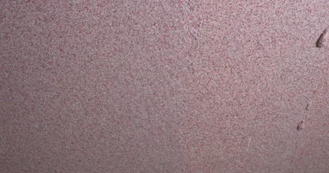 Applying decorative plaster to the wall Stock Footage 309118533