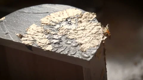 Applying Gold Leaf. The Artist decorates the box with a sheet of gold Video stock 87415115