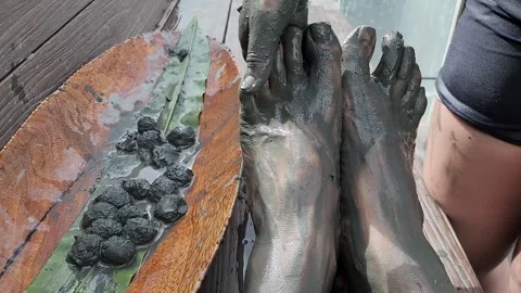 Applying mud on the legs Video stock 257603390