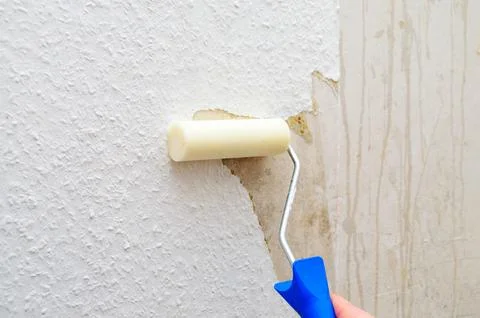 Applying paint with a roller on a textured wall during home renovation Stock Photos
