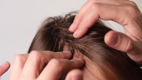 Applying scrub and scrubbing and massaging scalp close-up, hair care Stock Footage 311750379