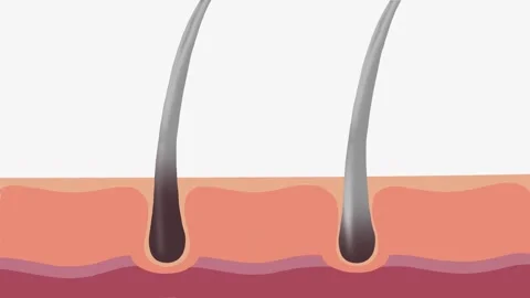 Applying serum drops to reverse grey hair 4k animation Stock Footage 328031850