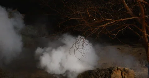 Applying Smoke in the Park Stock Footage 303958731