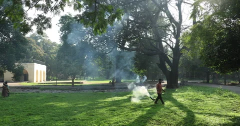 Applying Smoke in the Park Stock Footage 324385300