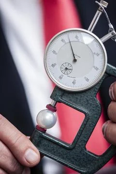 An appraiser with a measuring device device to determine the diameter of a Stock Photos