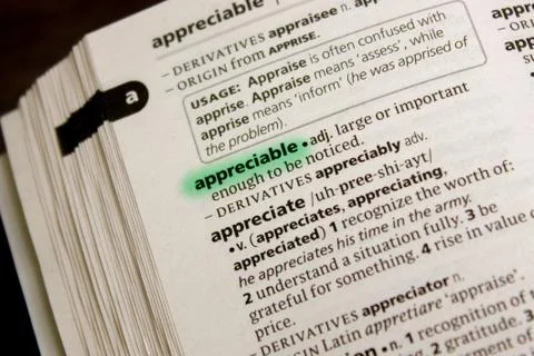 Appreciable word or phrase in a dictionary. Stock Photos
