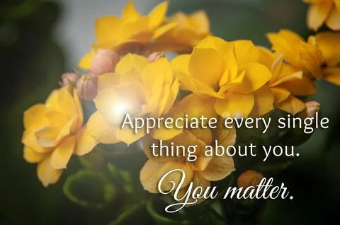 Appreciate every single thing about you. You matter. Inspirational and moti.. Stock Illustration