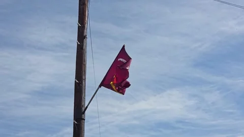 Apprentice Boys of Derry Flag on Telegraph Pole Video stock 315105523