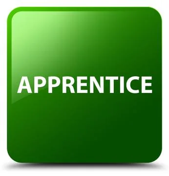 Apprentice green square button イラスト素材