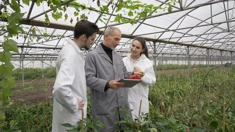 Apprentice in greenhouse learning about organic agriculture Stock Footage 123215432