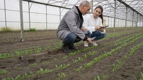 Apprentice in greenhouse learning about organic agriculture Stock Footage 123215613