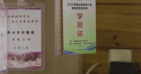 Apprentice member tag year 2020 Stock Footage 141363581