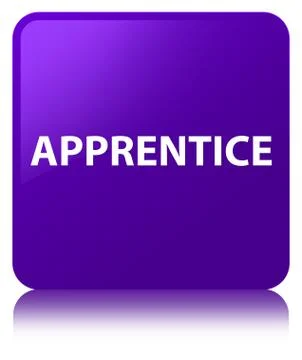 Apprentice purple square button Illustrazione stock
