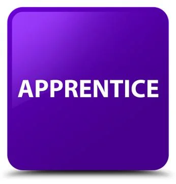 Apprentice purple square button イラスト素材