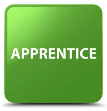 Apprentice soft green square button 库存插图