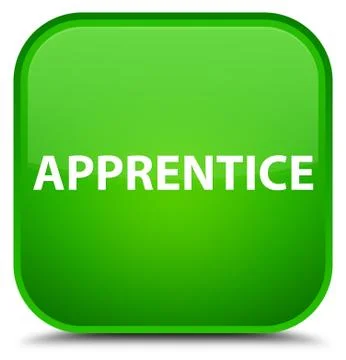 Apprentice special green square button Illustrazione stock