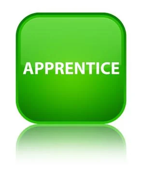Apprentice special green square button イラスト素材