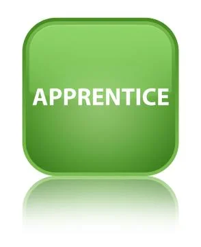 Apprentice special soft green square button 스톡 일러스트