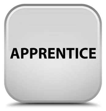 Apprentice special white square button イラスト素材