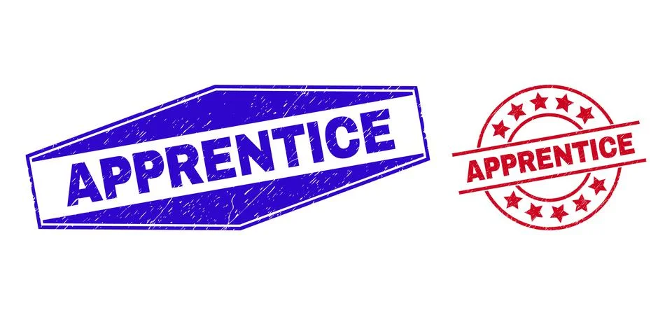 APPRENTICE Unclean Badges in Round and Hexagon Shapes Illustrazione stock