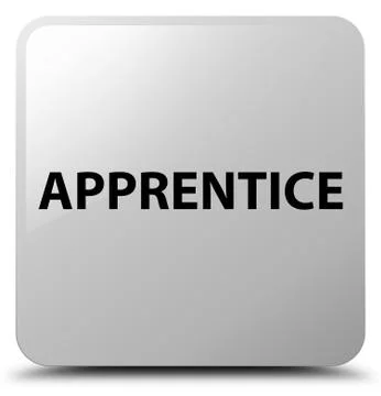 Apprentice white square button Illustrazione stock