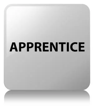 Apprentice white square button イラスト素材