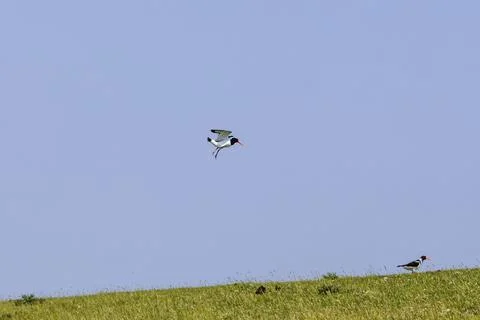 Approach for a headwind Stock Photos