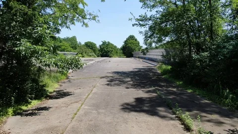 Approach from the woods Stock Footage 115077554