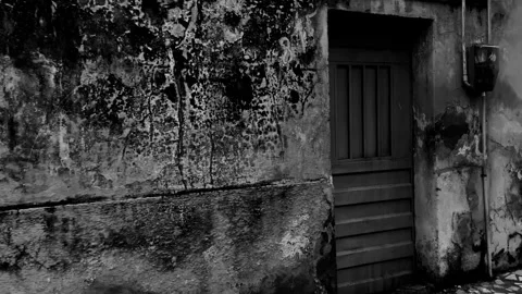 Approaching an Abandoned House – Black and White Cinematic Scene Stock Footage 314342753