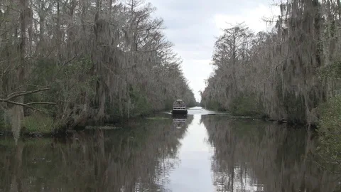 Approaching air boat closer Stock Footage 88291324