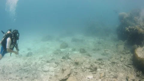 Approaching a big coral reef Stock Footage 82640385