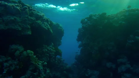 Approaching a break in coral reef wall leading to open sea in evening light Stock Footage 336565191