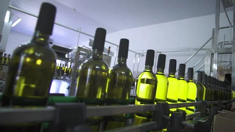 Approaching the camera to the conveyor with bottles of wine. Stock Footage 155424527