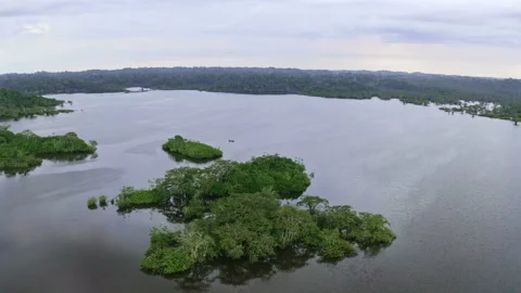 Approaching a canoe in a lagoon in the Amazon tropical forest of Cuyabeno Video stock 169903665
