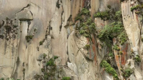 Approaching a cliff with grey, brown and red colors covered in bromelias Video stock 142755222