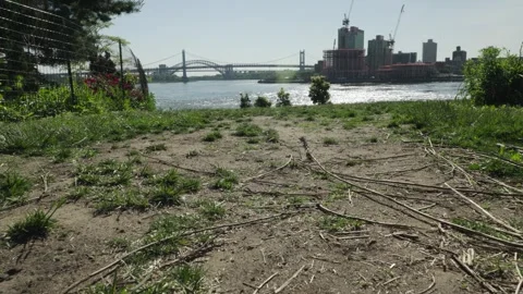 Approaching the crest of a hill with the Manhattan Bridge rising in the dist Stock Footage 242305643