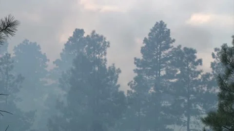 Approaching Danger Stock Footage 9363380