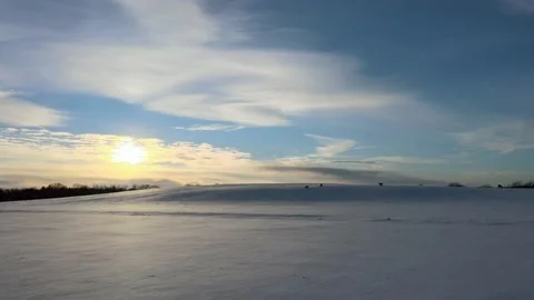 Approaching the Deer Stock Footage 169054379