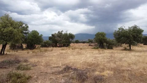 Approaching a Distant Storm Over the Dehesa - 632 Stock Footage 308818071