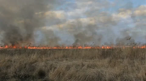 Approaching fire Stock Footage 8847159