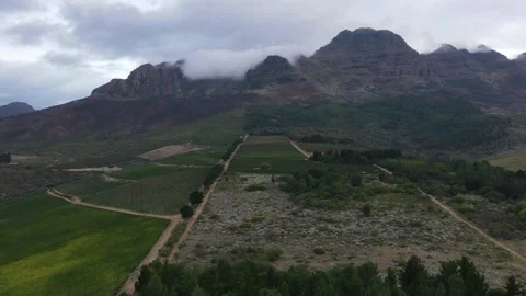Approaching flight towards mountains and vineyard Stock Footage 235146256