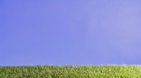 Approaching golfball wide Stock Footage 115757